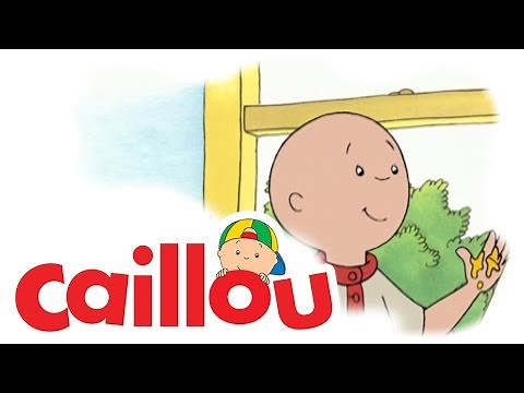 Caillou - Caillou's Colours (S01E32) | Cartoon for Kids
