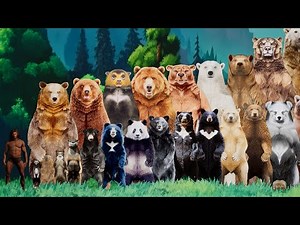 Bear Size Comparison: Living and Extinct | The Largest Bear in the World