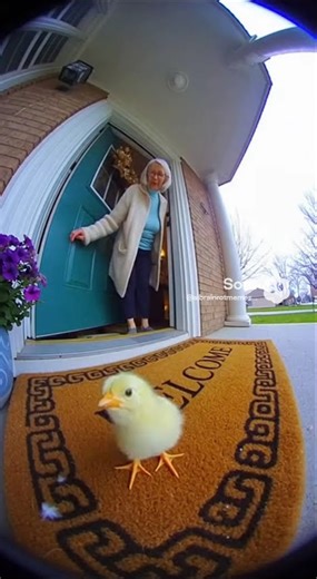 Chick explodes and lady is very surprised 😮