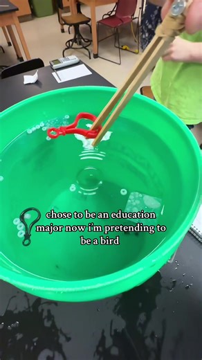 Exploring Evolution Through Bird Mimicry