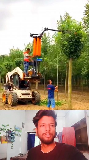11K views | Tree crown pruning machinery | Mouse trap 2022 | Facebook
