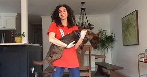 Let's Learn:What Letter Does Create Start With? Season 2021 Episode 01/19/2021