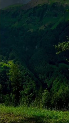 Sounds of Silent Nature #nature #shorts