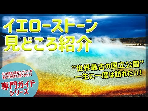 JTB USA 専門ガイドコラボ企画 イエローストーン PART1