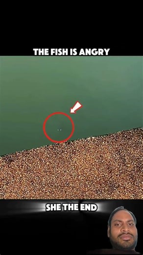 He thought it was just a harmless shot… but this archer fish had other plans. 😳💦#shorts #trading