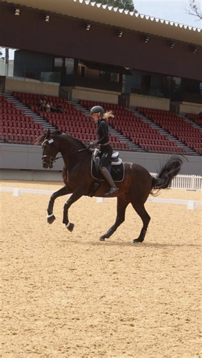 Training at Willinga Park with Vittorio DS II