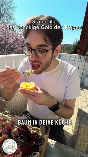 Diese Frucht schmeckt wie Honig 🍯 (kennst du sie?) #exotischefrüchte #fruit