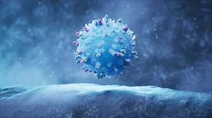 Lymphocytes and biological immune system