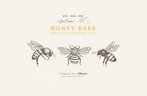 Honey Bees - Delicate Illustrated Bees, SVG, PNG, EPS, Clipart, Cricut, Embroidery, Engraving, Hand-drawn Sketch, Illustration Drawing, Logo - Etsy