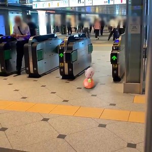 20K views · 283 reactions | Bacon Roll  | Seventies Time-Machine | Facebook