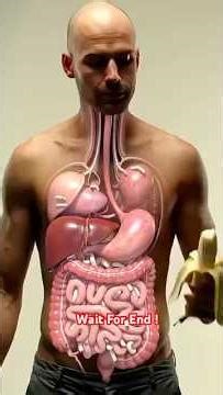 Inside Your Gut: 3D Animation of Banana Digestion & Parasite Worms #trending #viral #health #shorts