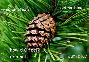 Interior Monologue Captioning | Know Your Meme