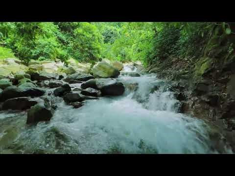Calming River Water Ambience for Deep Stress Relief Sleep | Natural Flow Sounds for Peaceful Rest