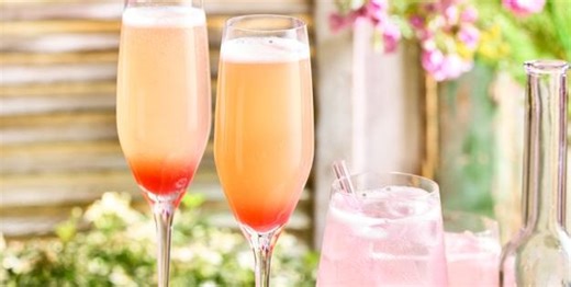 Rhubarb and rose cordial