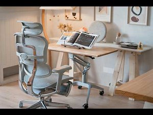 “Ergohuman Elite G2 Adjustments Guide | Full Ergonomic Office Chair Demo