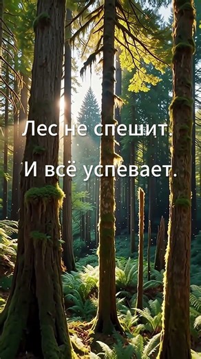 Luminous Path ✨ Deep Sleep • Ambient | KVMXD