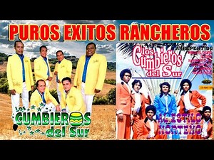 🎶 Los Cumbieros del Sur - ¡Los 20 Éxitos Norteños Que Hicieron Historia! 🔥