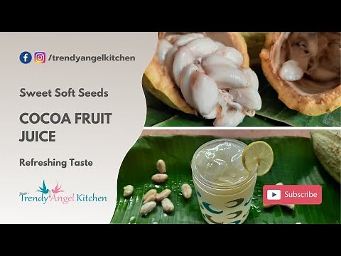 Cocoa Juice / Cacao Juice | Simple, Refreshing, Sweet, Mucilaginous Pulp