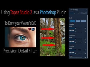 Using TOPAZ STUDIO 2 as a PHOTOSHOP PLUGIN: To Draw Your Viewer's EYE (PRECISION DETAIL FILTER)