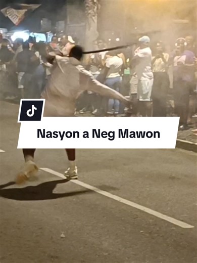 Carnaval 2026 : retour sur le premier défilé de la saison dimanche 4 janvier avec Nasyon a Neg Mawon @Nasyon a neg mawon 💙❤️🤎🖤 #carnavalGuadeloupe #carnaval2026 #guadeloupe #nasyonanegmawon #antillesfrançaises