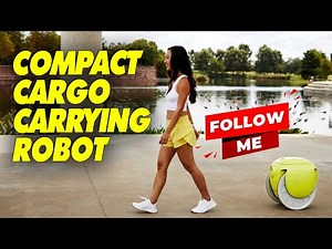 Gitamini - Compact Cargo-Carrying Robot