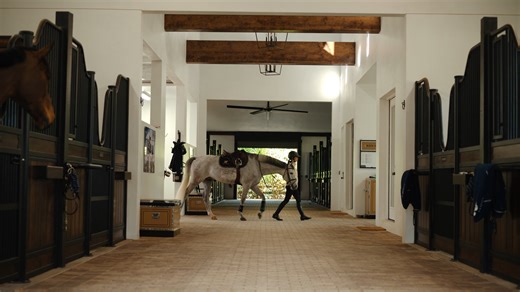 Breaking Codes with Nina Mallevaey