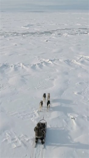 🎬How Inuit People Survive the Arctic Winter 🥶