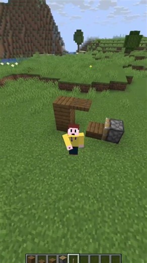 Xray Without Cheats?! 😳 | Java + Bedrock