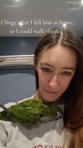 Managing Pet Jealousy: Tips for Balanced Attention