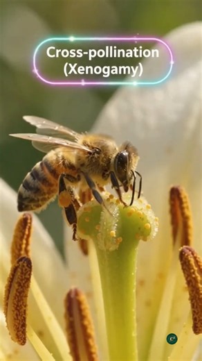 Reproduction in flowering plants #science #biology #plantreproduction #flowering plants