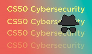 Week 3 Securing Software - CS50's Introduction to Cybersecurity