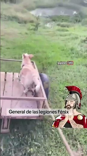 Gladiator who was a general in the armies of Rome
