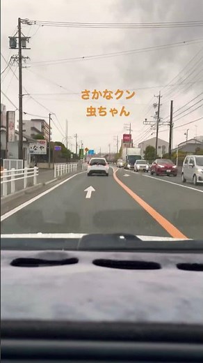 #スナックラジオ #リリーフランキー #さかなクン #automobile #radio #ショート #bgm #サカナクション #新宝島