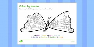 Butterfly Colour by Number to Support Teaching on The Very Hungry Caterpillar