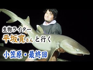 生物ライター・平坂さんと行く小笠原旅 最終回 〜小笠原の自然を大満喫！！〜