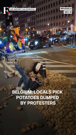 #FPReels: Brussels Farmers Dump Potatoes During EU Budget Protest Farmers protesting the European Union's agriculture budget dumped potatoes onto a busy street in central Brussels on December 18. Video footage showed piles of potatoes lining the roadside as traffic slowed. Passersby were seen picking up intact potatoes. | Firstpost
