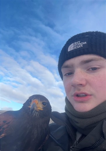 A Cracking Day of Falconry and Hunting