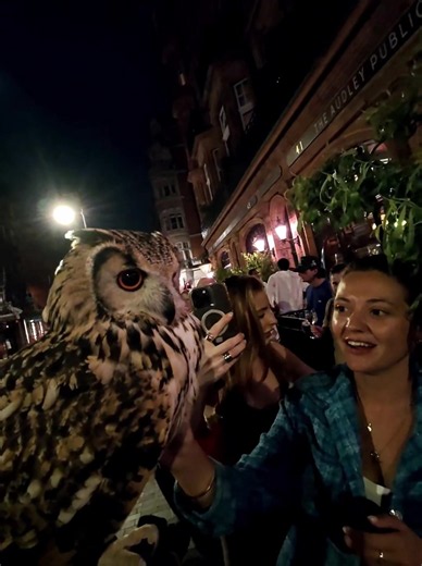 When they see Hila and the distortions of reality 🦉💀. HELA possesses a special charm. #HelaTheOw #OwlTok #FYP #ForYou #London
