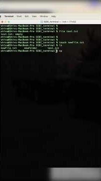 Linux Shell Commands for SEBI IT 🔥 | Must Know