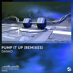Danko - Pump It Up (Remixes)
