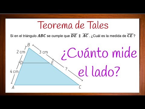 Teorema de Tales. Ejercicio resuelto. Explicación