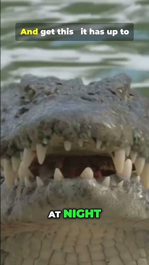 Night Hunter: Unveiling the Giant Creature's Secrets! #animalfacts #natureshorts