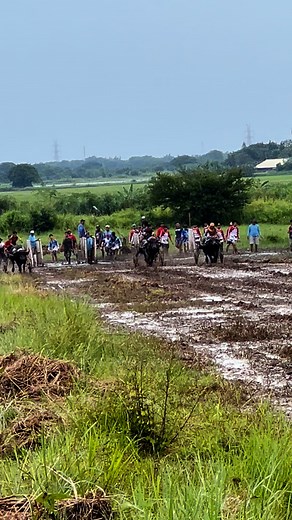 2.1K reactions · 60 shares | Makisig vs masculado vs king cobra | Joshua Malang | Facebook