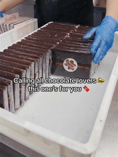 Rich, soft, and unapologetically chocolate from the first bite to the last 🍫 #chocolatelovers #chocolatefudgecake #dessertlover #treatyourself #cakecontent