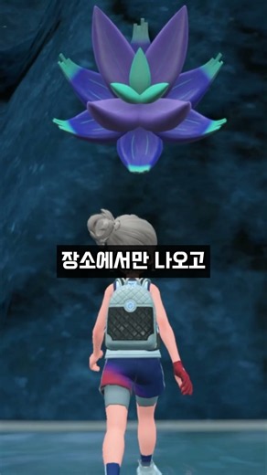 너무 떡밥이 많은 킬라플로르