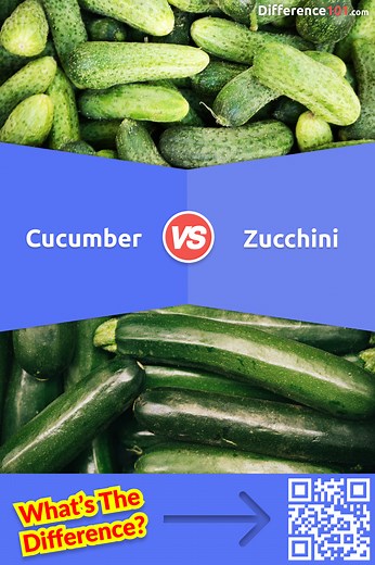 Cucumber vs Zucchini: 8 Differences, Examples, Pros & Cons