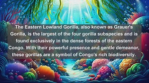 Discover Congos Wildlife: Top 10 Native Animals in Democratic Republic of the Congo