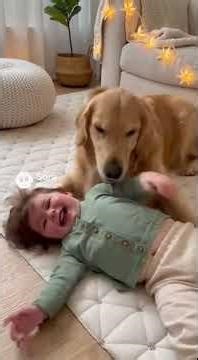 “Uncontrollable Laughter: Toddler Gets Tickled by a Playful Dog”