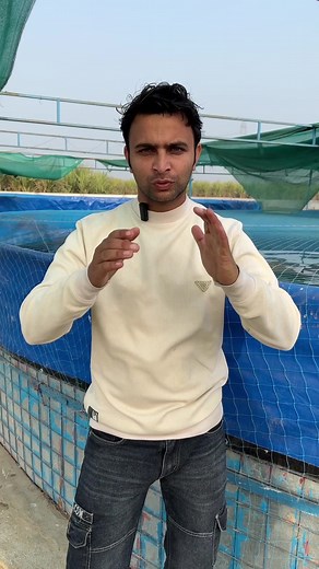 33K views · 335 reactions | Biofloc Advance Fish Farming  #fishfarming #bioflocfish #machlipalan | Ravizone Business Ideas | Facebook