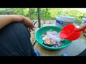 357分 多くの下着、パンティー、ブラジャーが臭いの埋め立て地からリサイクルされています - Recycling Lingerie In The Landfill 内衣 Lookbook